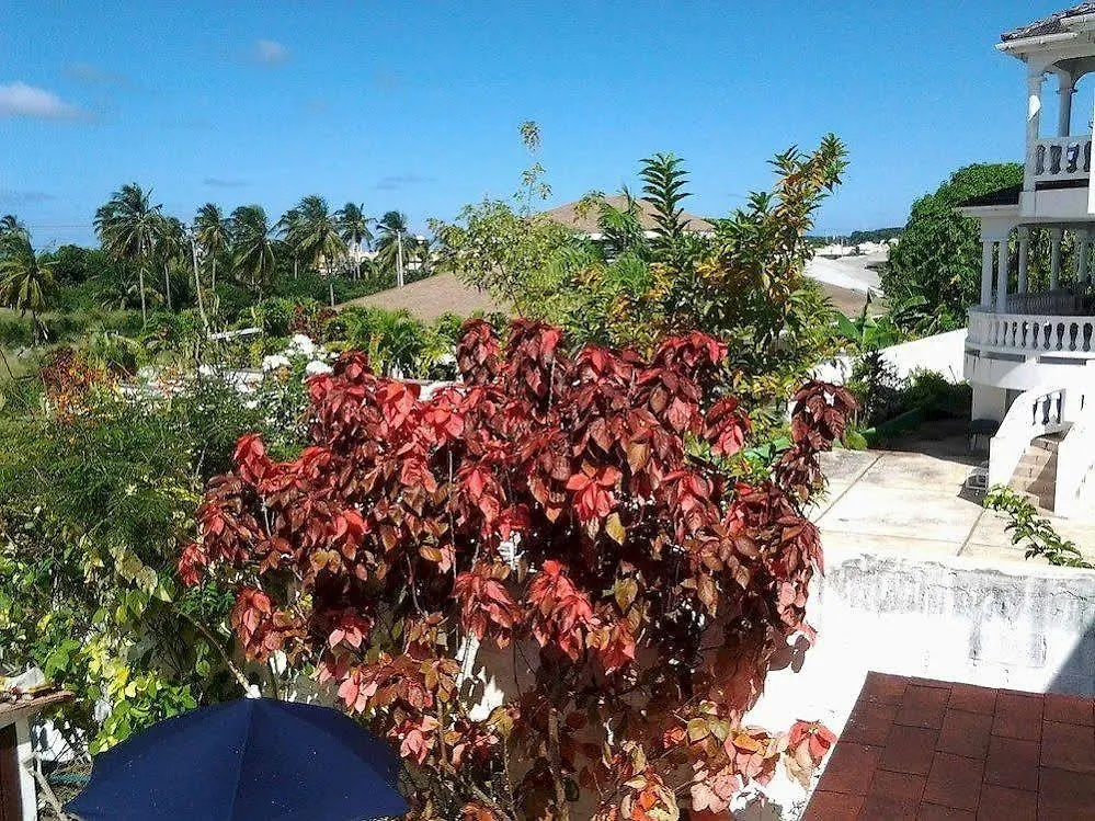 Sungold House Barbados Διαμέρισμα Douglas Μπαρμπάντος